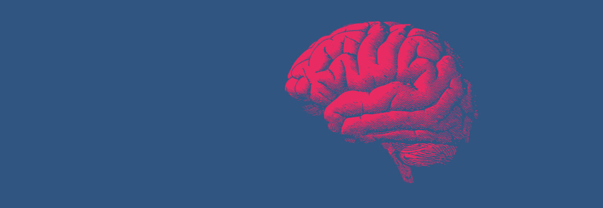 Now Read This: Decoding the Teenage Brain